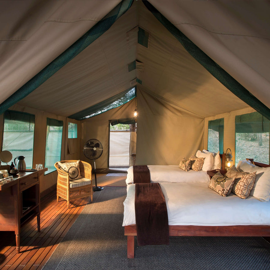 Best of Zimbabwe Safari