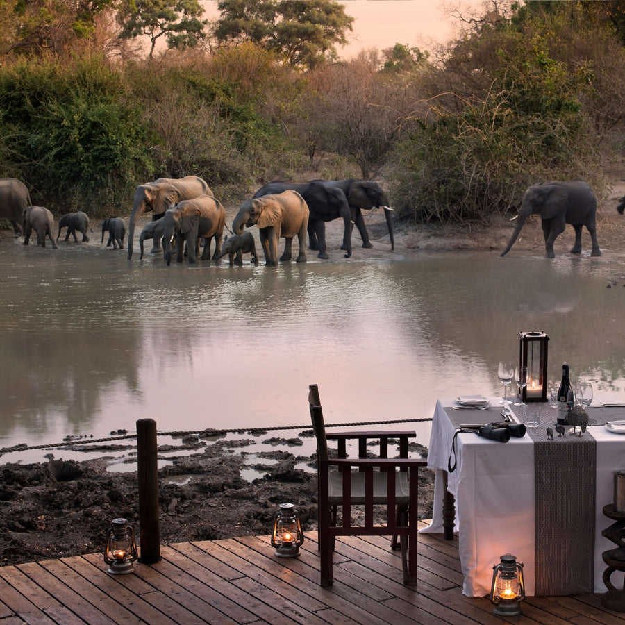 Best of Zimbabwe Safari