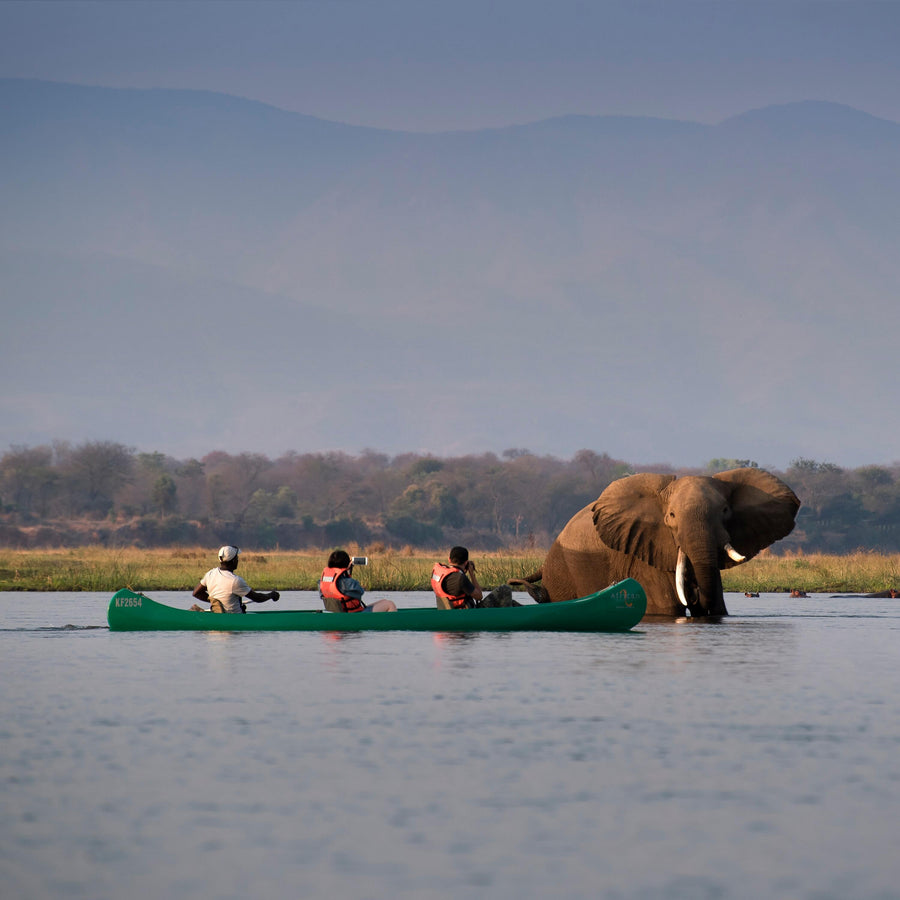 Best of Zimbabwe Safari