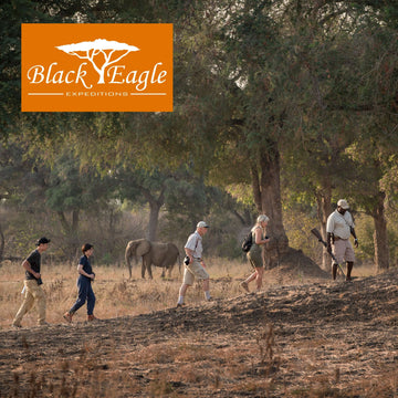 Best of Zimbabwe Safari